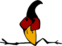 Vibrant Clipart of a Bird with Red and Yellow Beak