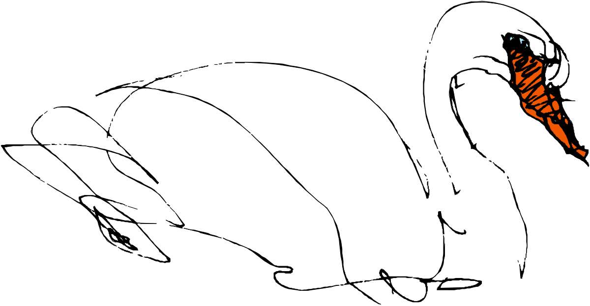 how to draw a swan step by step clip art png transparent Swan Drawing Guide: Step by Step Clipart for Artists
