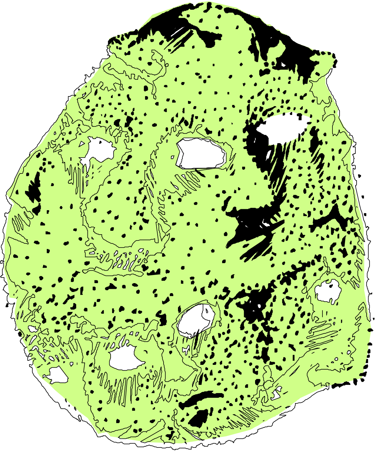 Green and Black Map of the Area Clipart for Your Projects