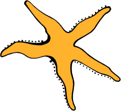 Starfish Clipart: Vibrant Undersea Creatures for Your Creative Projects