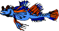 Vibrant Blue and Orange Colored Fish Clipart for Your Creative Projects