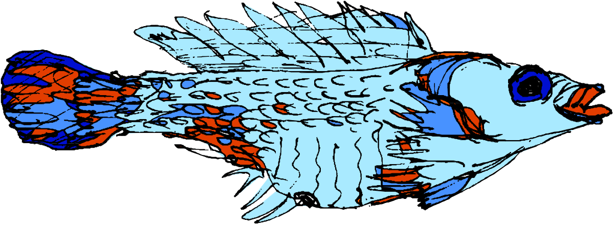 Blue and Orange Fish Clipart for Vibrant Designs