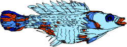 Blue and Orange Fish Clipart for Vibrant Designs