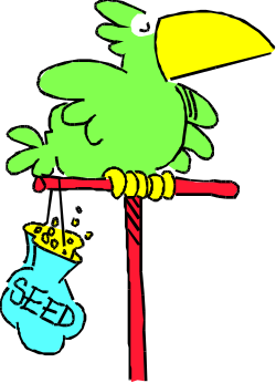 Parrot Eating Seeds on Branch - Vibrant Clipart
