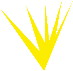 Yellow Lightning Bolt Clipart on Black Background