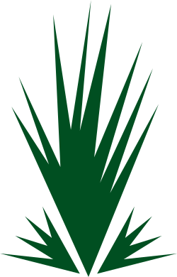 Green Plant on Black Background - Vibrant Nature Clipart