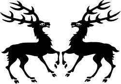 Mysterious Black Background with Intriguing Eye Clipart