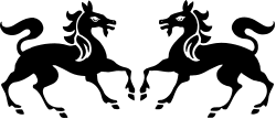 White Cat Eyes on Black Background - Stunning Clipart Design