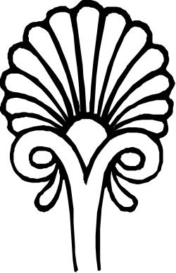 White Shell on Black Background Clipart - Elegant Contrast