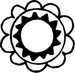 Elegant White Lotus Flower on Black Background