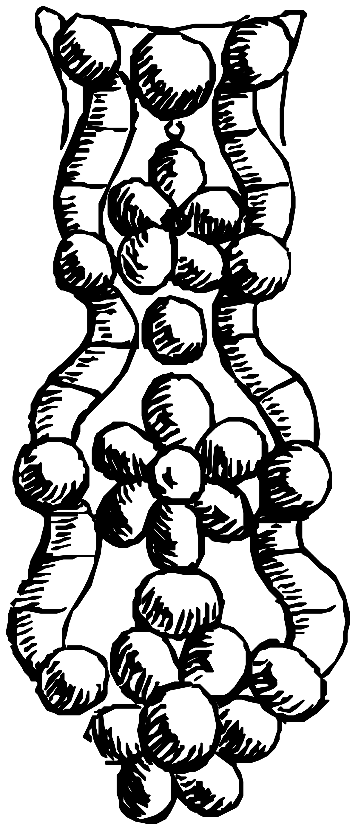 Black and White Flower Drawing Clipart - Elegant Floral Illustrations