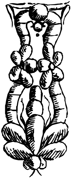 Designs,Designs,CC004166 clipart
