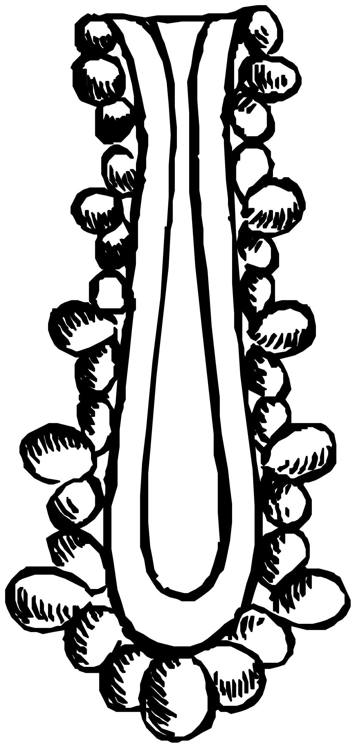 Black and White Vase Clipart - Elegant Line Art Design