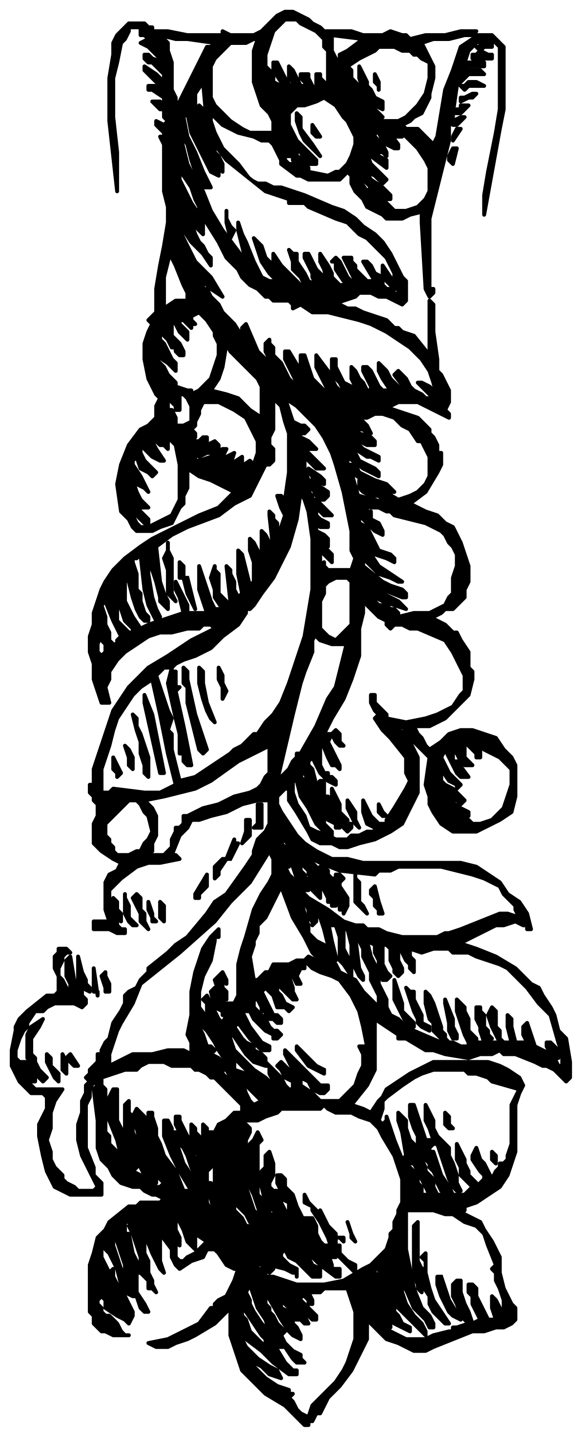 Pine Tree Clipart with Pine Branch - Nature's Beauty in SVG Format