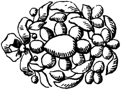 Hands Clipart Collection: Diverse Hand Gestures for Every Need