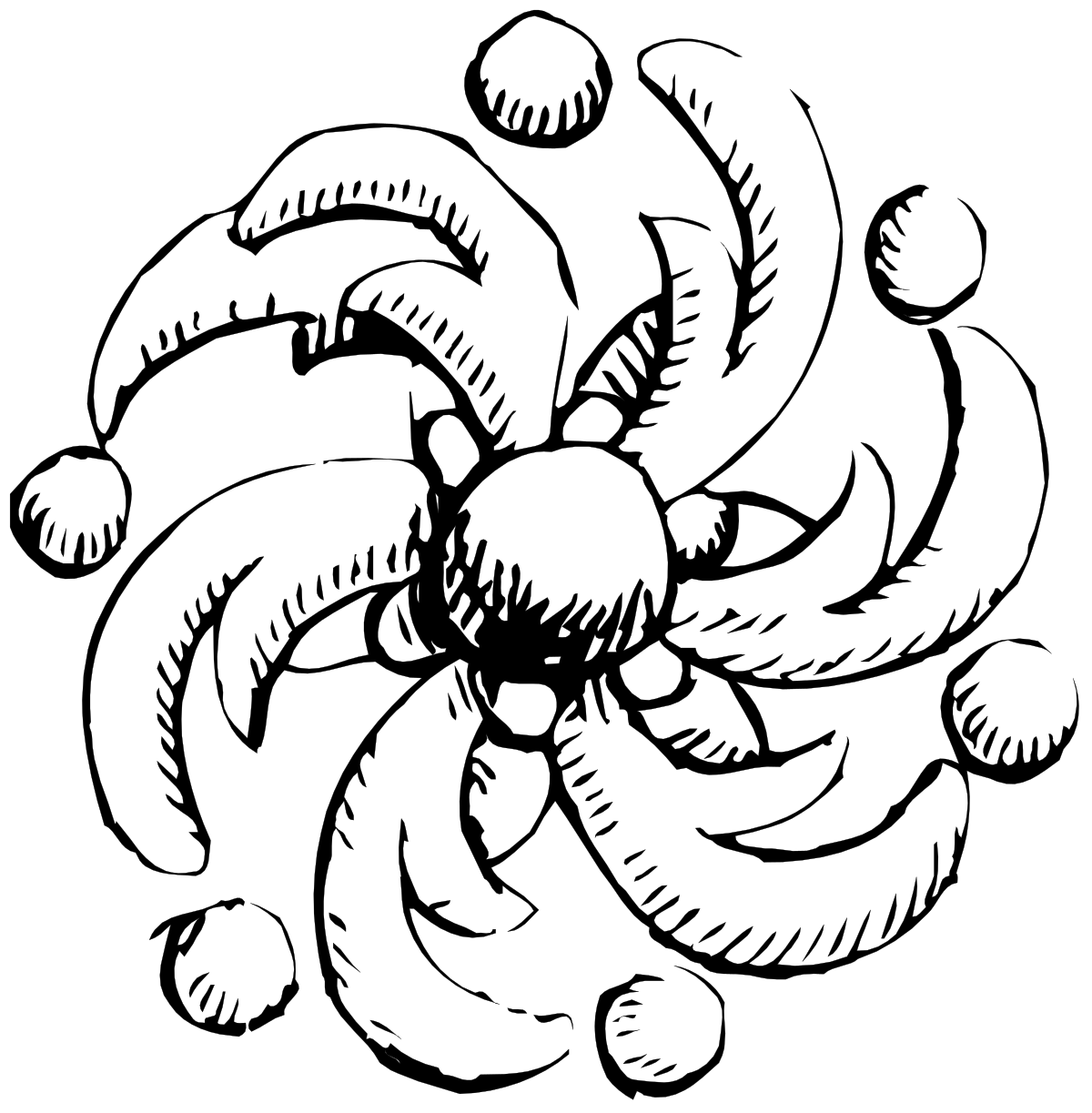 Black and White Turtle Clipart: Elegant Sea Creature Illustration