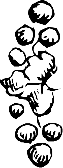 Silhouetted Fish Flock Against Black Background Clipart