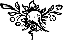 Skull Clipart: Intricate Black and White Illustration for Creative Projects