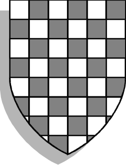 Shield with Checkered Pattern Clipart - Bold Design for Dynamic Visuals