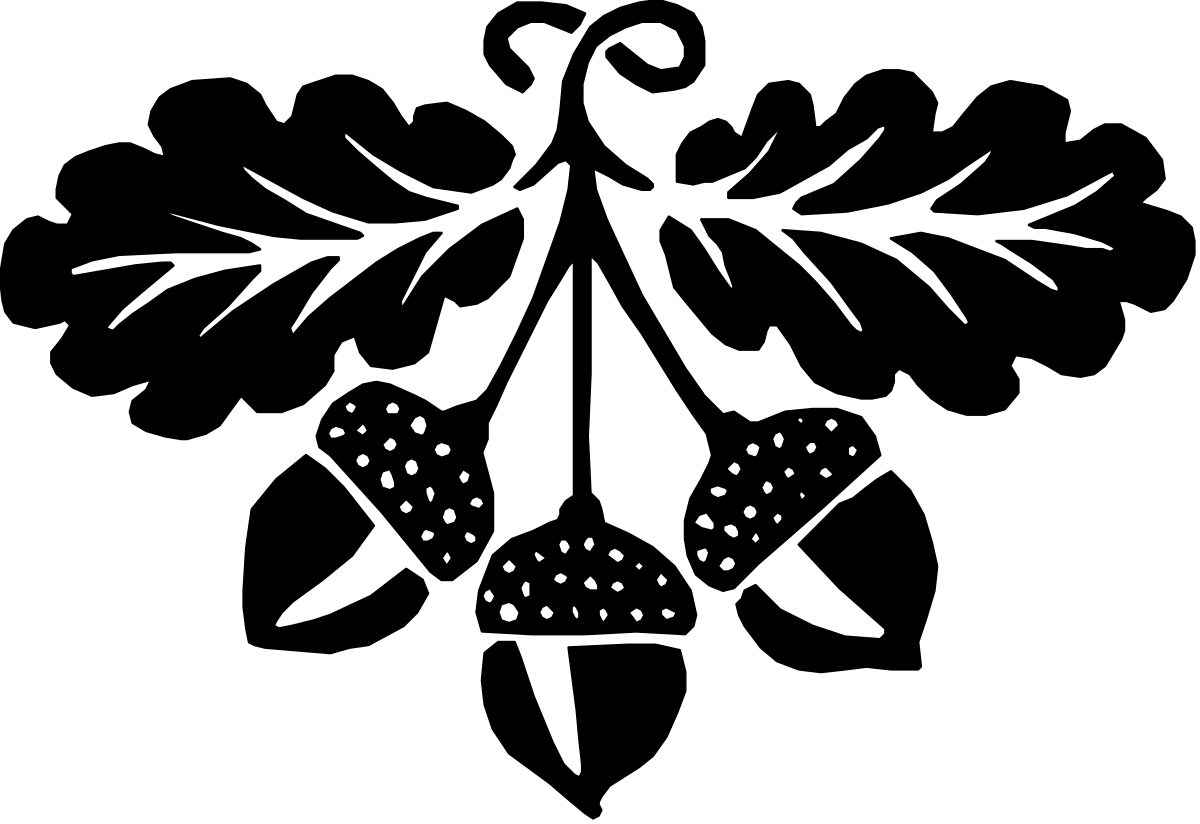 Black and White Cat Clipart - Elegant Feline Illustrations