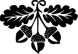 Black and White Cat Clipart - Elegant Feline Illustrations