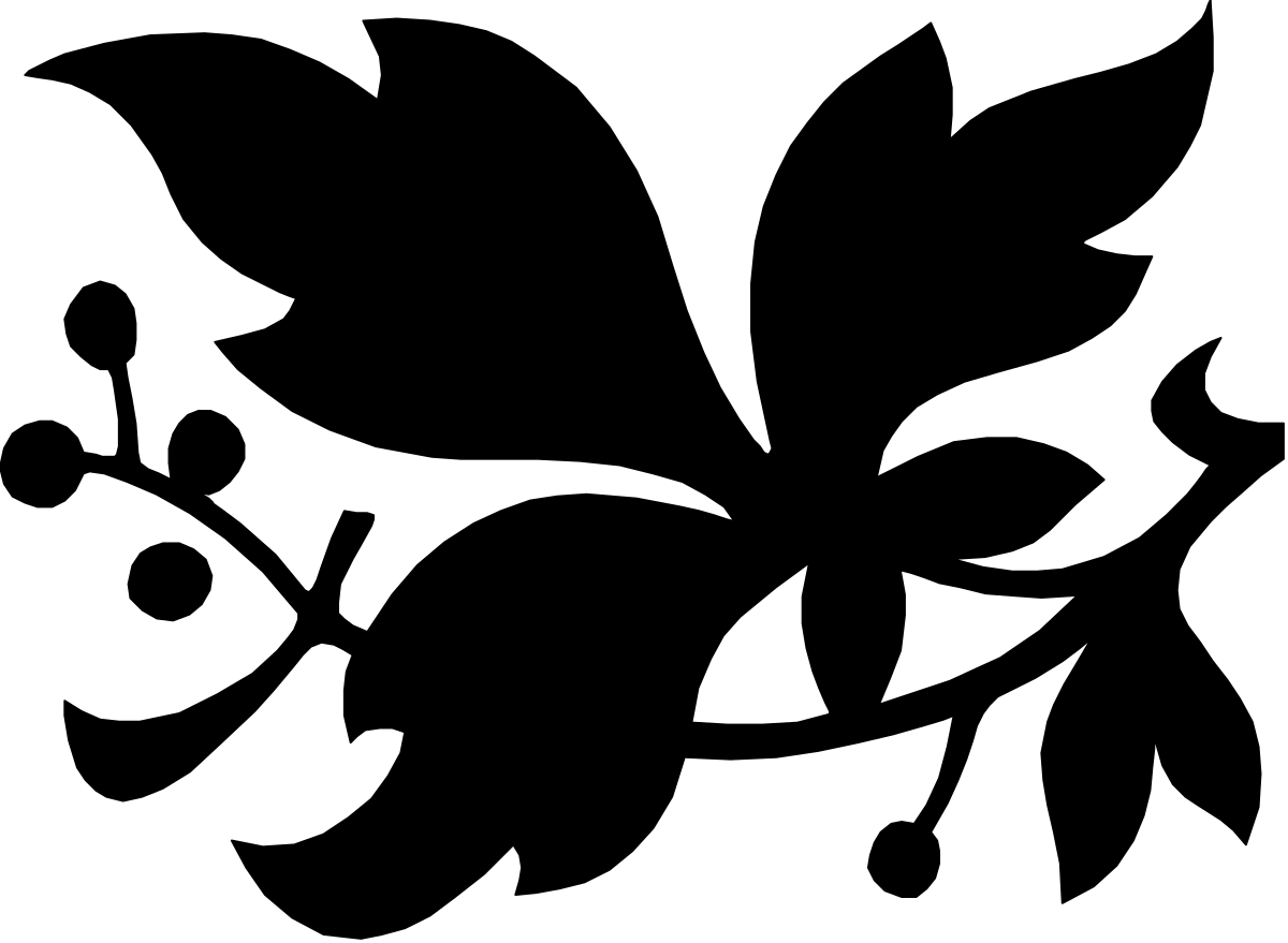 Black Cat Eyes Clipart - Striking White and Black Contrast