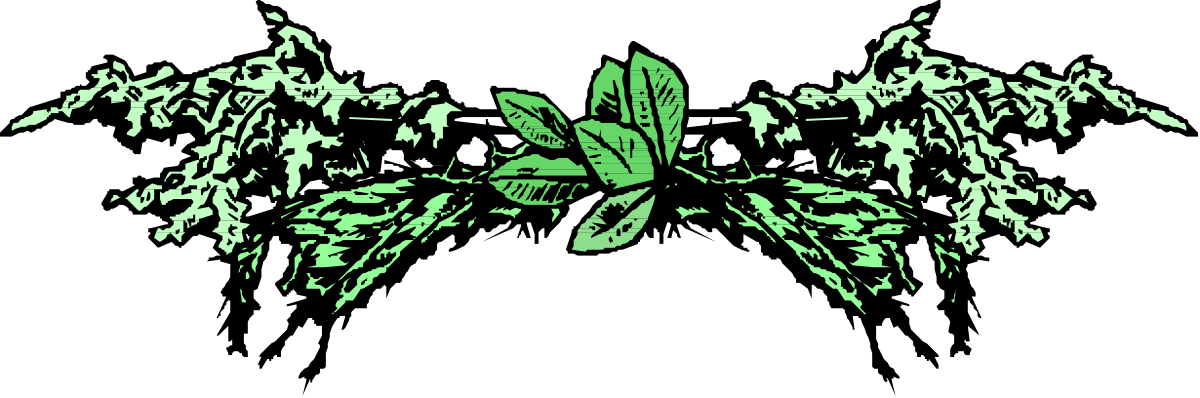 Green Butterfly on Black Background - Vibrant Clipart for Your Projects