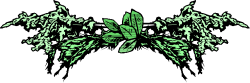 Green Butterfly on Black Background - Vibrant Clipart for Your Projects
