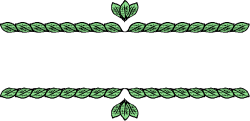 Green Frame with Leaves Clipart - Nature Inspired Decorative Borders