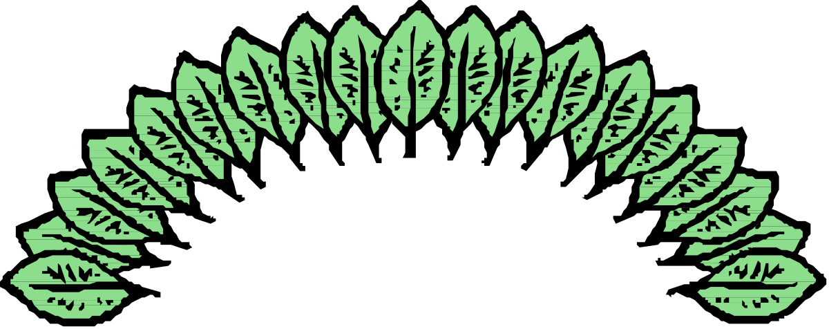 Green Leaf on Black Background - Stunning Clipart for Floral Designs