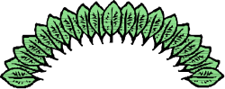 Green Leaf on Black Background - Stunning Clipart for Floral Designs
