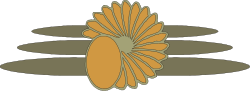 Designs,Designs,DSGNC069 clipart