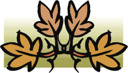 Leaves Clipart Collection - Diverse Botanical Designs