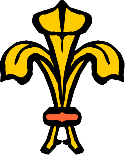 Bright Yellow Flower on Black Background Clipart