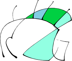 Vibrant Green and Blue Abstract Design Clipart for Creative Projects