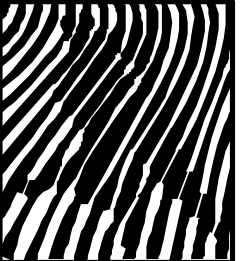 Wave Clipart - Black and White Ocean Design