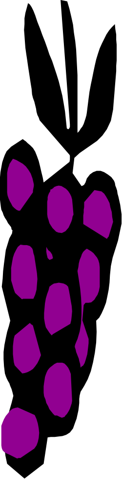 Purple Flower Clipart on Black Background - Stunning Floral Design