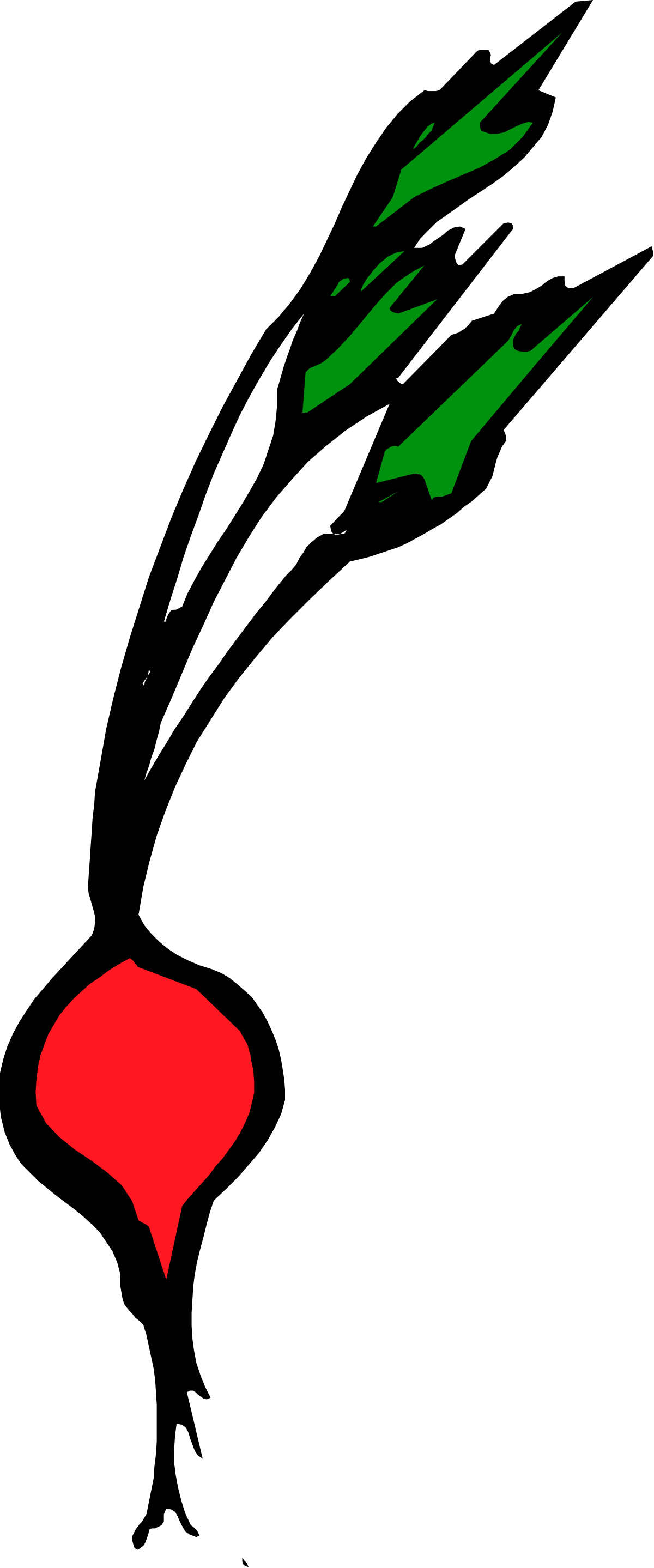 Vibrant Red and Green Design on Black Background Clipart