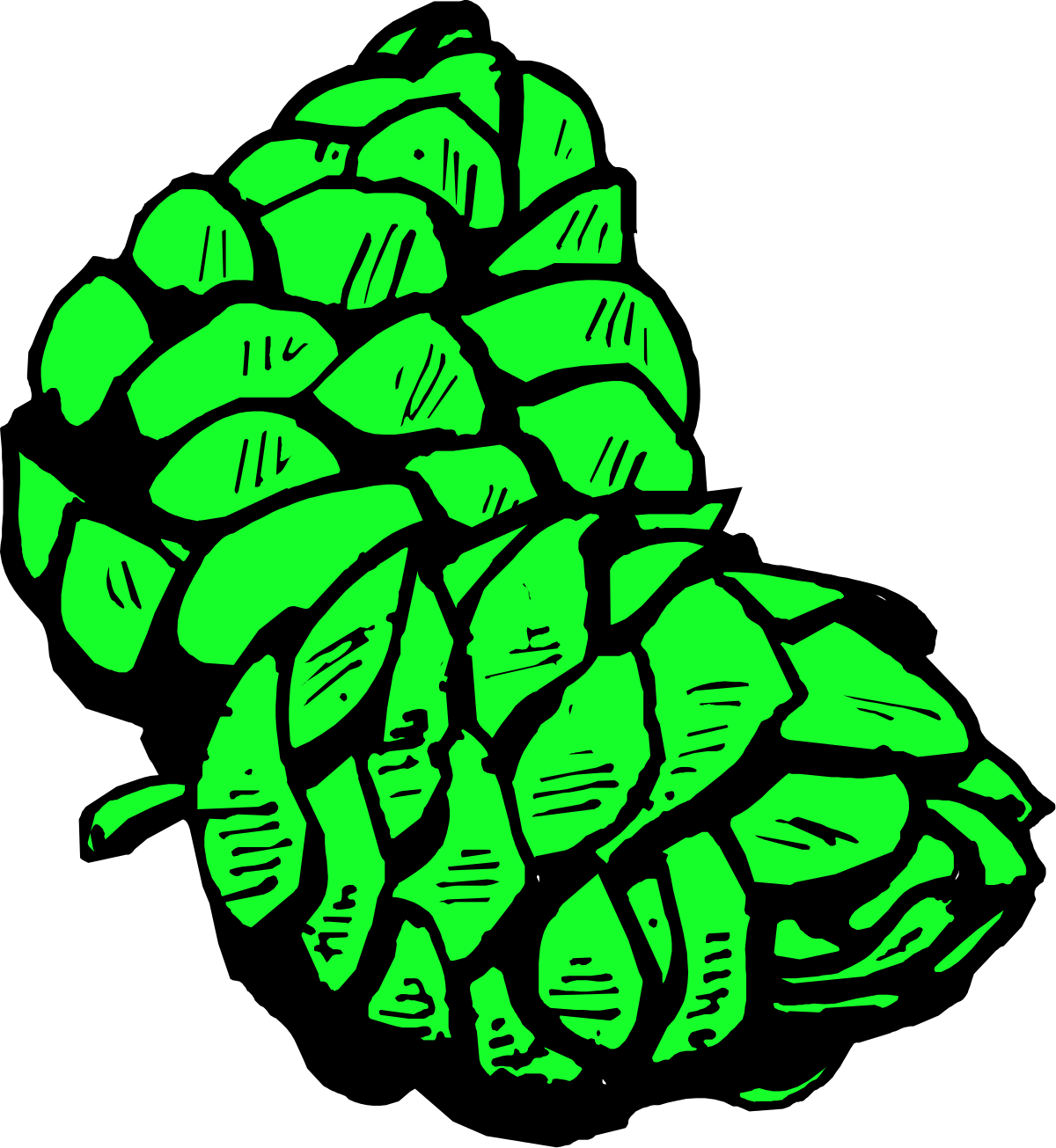 Hops Plant Clipart: Vibrant Green Leaves for Crafting