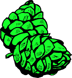 Hops Plant Clipart: Vibrant Green Leaves for Crafting