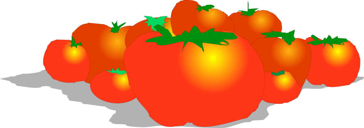 a bunch of tomatoes clip art png transparent Fresh Tomatoes Clipart Collection - Vibrant Organic Produce Graphics