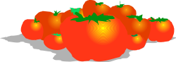 Fresh Tomatoes Clipart Collection - Vibrant Organic Produce Graphics