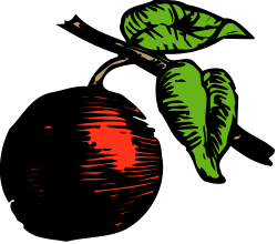 Green Leaf with Red Spots - Nature Clipart for Vibrant Designs