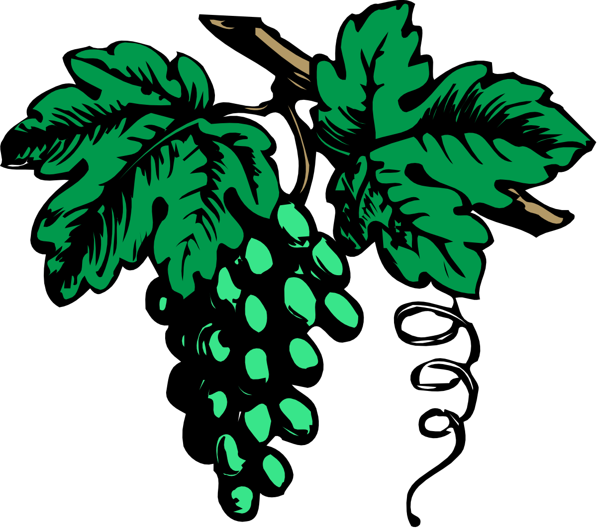 Green Plant Clipart with Lush Leaves - Perfect for Any Design