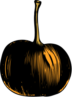 Black and Orange Onion Clipart - Vibrant Vegetable Illustrations