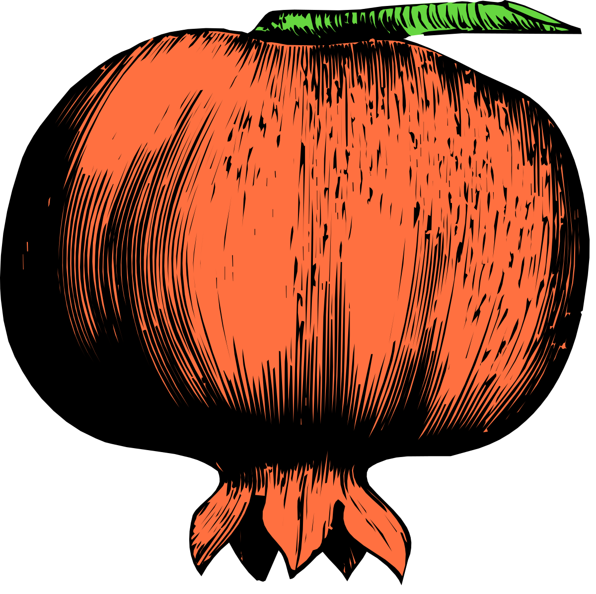 Carrot Clipart with Green Stem - Fresh Vegetables for Your Projects