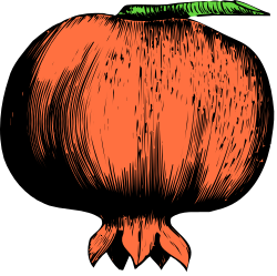 Carrot Clipart with Green Stem - Fresh Vegetables for Your Projects
