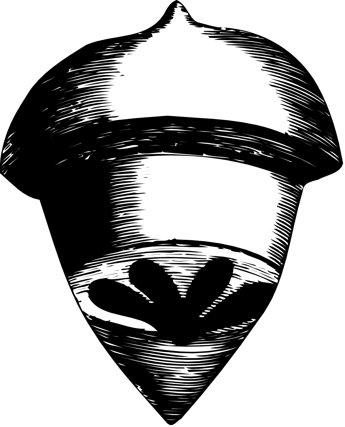 Black and White Drawing of a Man's Face - Artistic Clipart for Creative Projects