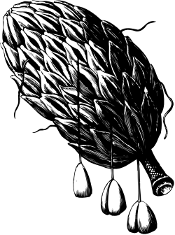 Black and White Flower Clipart: Elegant Floral Illustrations