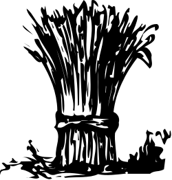 Black and White Plant Clipart - Elegant Botanical Illustrations